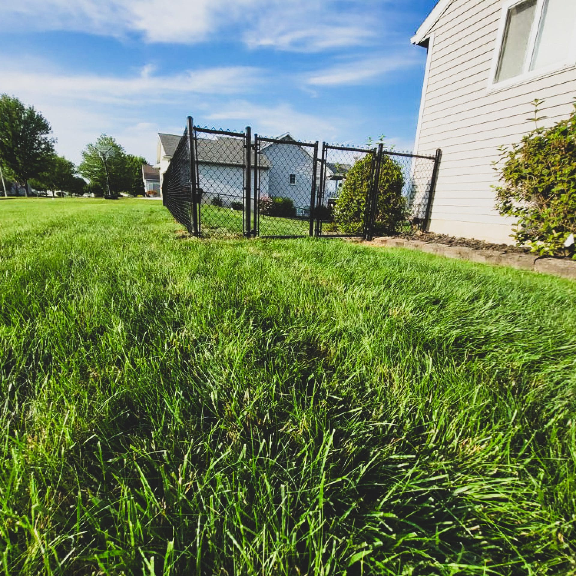 Residential chain link fence installation in Grand Rapids.
